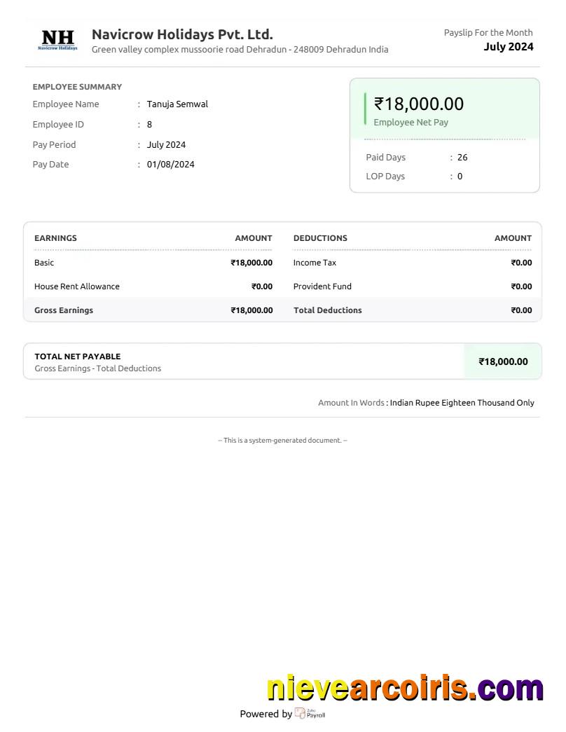 Navicrow Holidays Pvt. Ltd. earnings summary